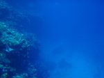 2009.07.9-13 160.jpg